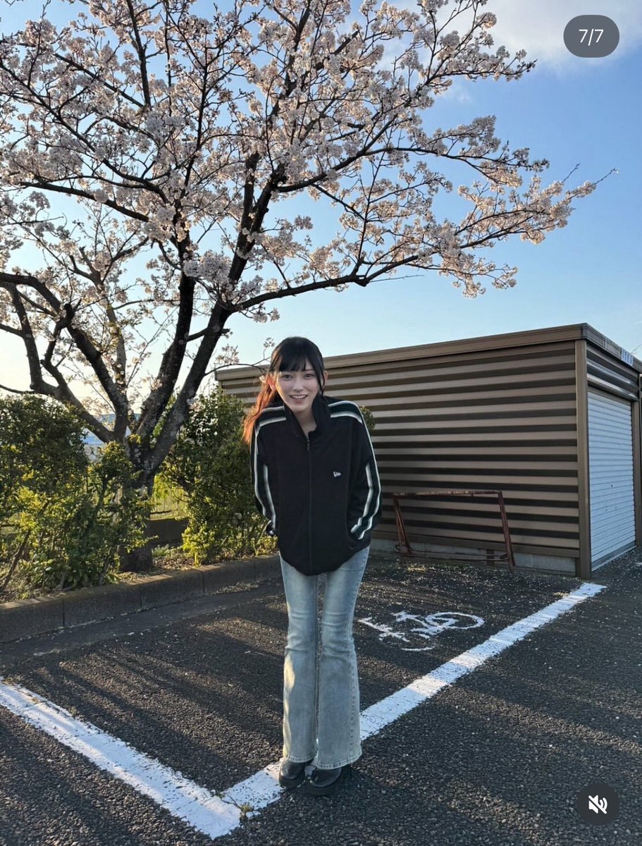 坂道store on X: 
