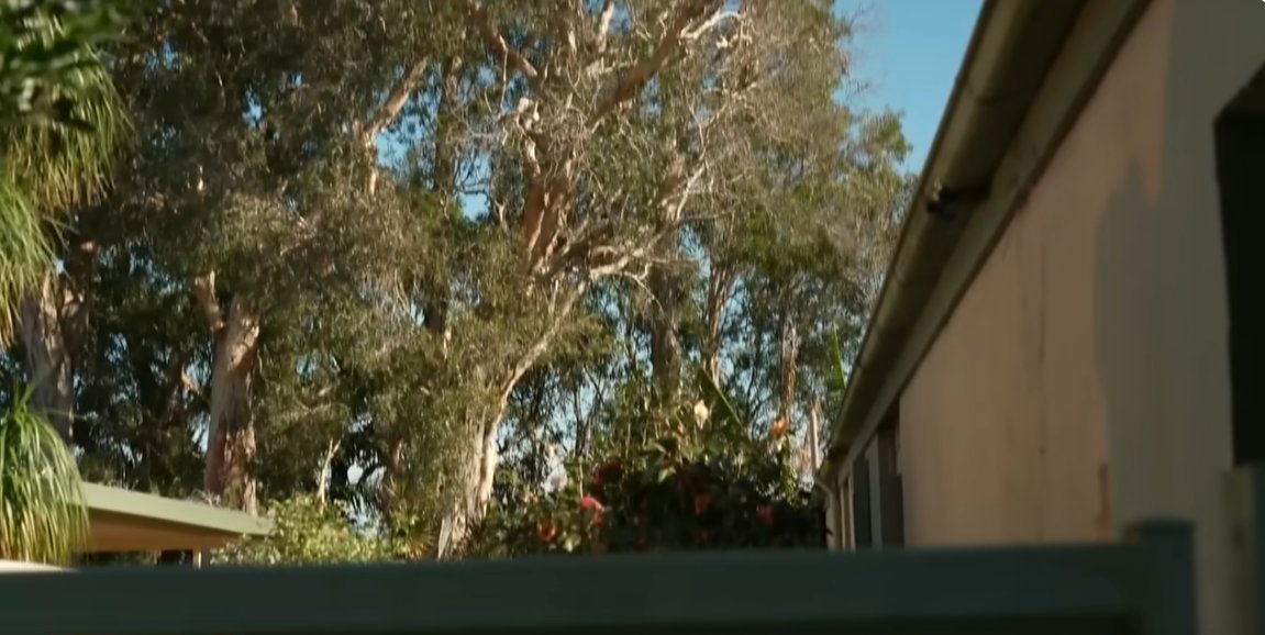 TreeProblemsNSW's tweet image. Neighbourhood war over more than just a tree. The owner of a fishing lure business in Port Stephens NSW fears that 15m paperbark gums on a neighbour's property could fall on his house, killing his daughter.  The neighbours are locked in a legal dispute.
youtube.com/watch?v=ViUs9z…