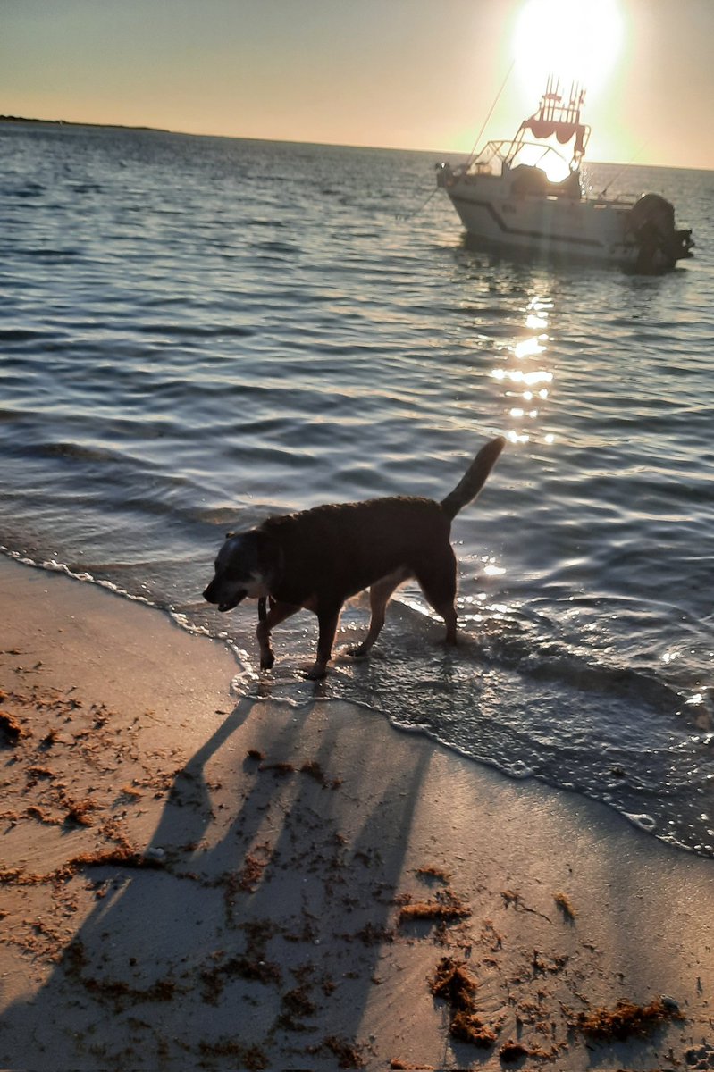 Some highlights from my beach trip recently!!

It was so good for the mental health to get out in nature, do some fishing, and have a break from tech for a bit!