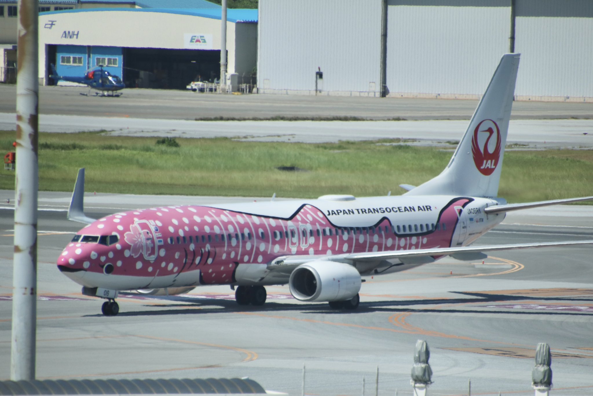 Japan Transocean B737-800 サクラジンベエ かとう www.JetCollector.com: Japan Transocean B737-800 Sakura