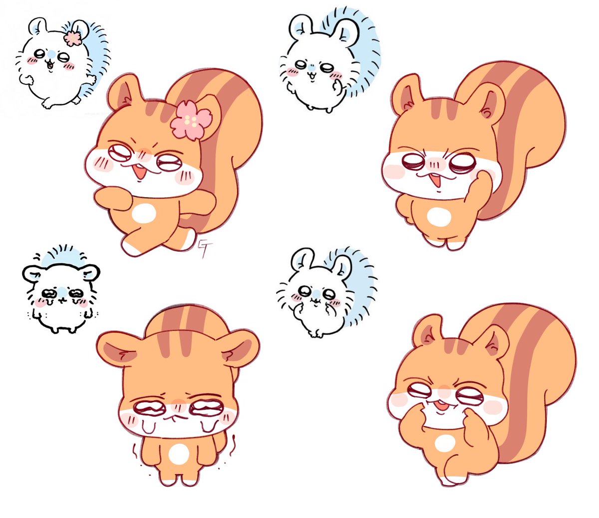 🐿️🐿️