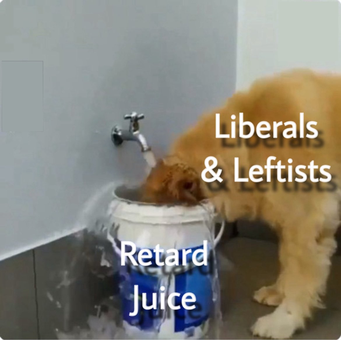 B e a r (@ososytequila) on Twitter photo 