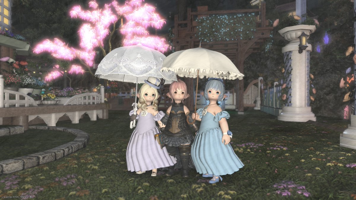 マメガエ会のみんなと。
最近ためていた画像集１
いっぱい楽しい時間を過ごしました。