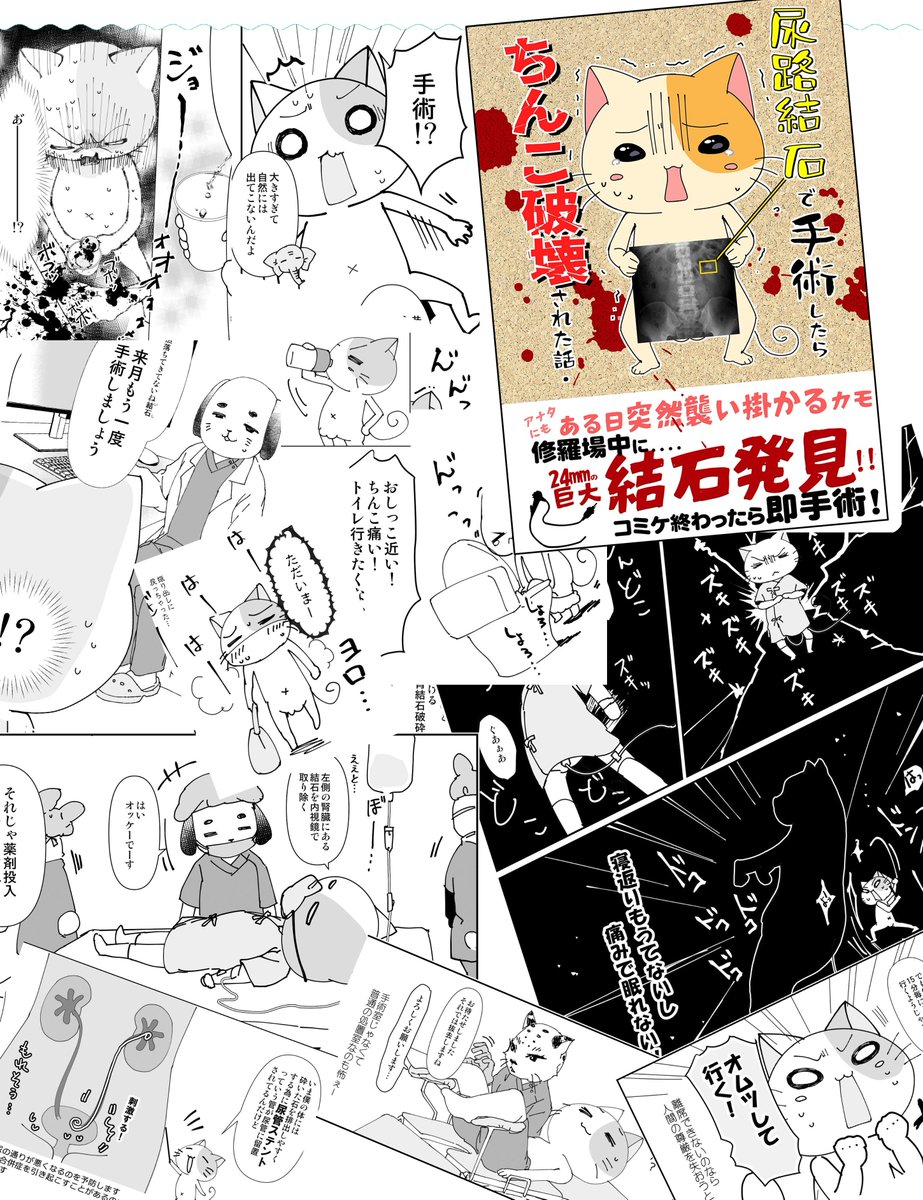 tibiMALINO's tweet photo. 尿路結石で手術したらち〇こ破壊された話（5/5）
コミティア153に持っていきまーす

フツーは救急車…なのに痛み無し！
でも何回も手術するハメになって思わぬページ数で厚い闘病エッセイ漫画になってしまった
最新の尿路結石手術はち〇こにカメラ突っ込みます
読むだけで痛い！　結石本！ https://t.co/pWxdygYSwh