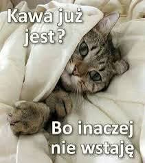 Dzień dobry wszystkim