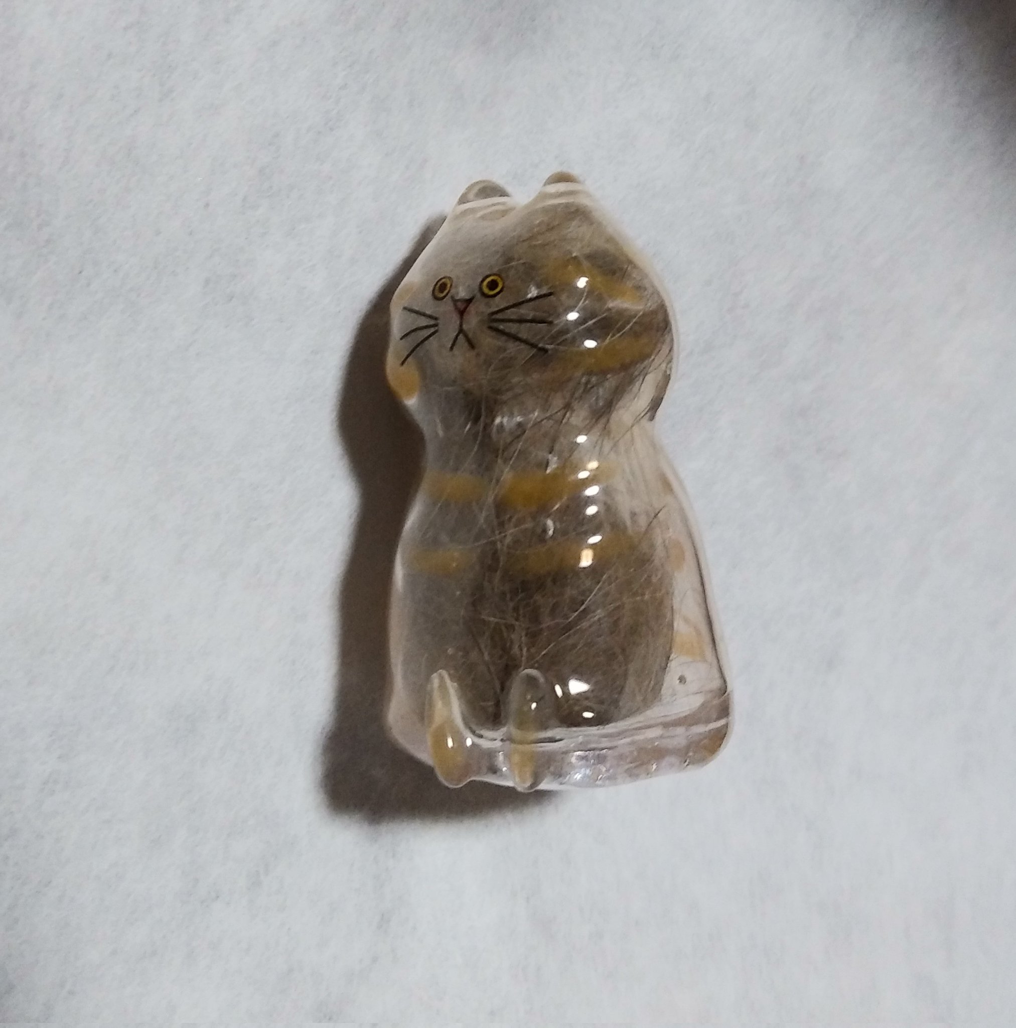 うちの子のけだまだま セルフペイント 猫 Mサイズ 新商品「セルフペイント」 | うちの子のけだまだま
