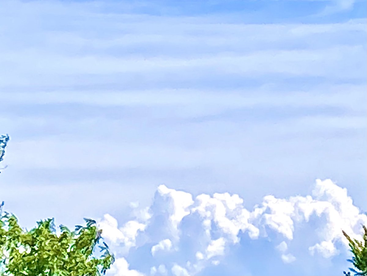 雄々しくも清々しくも

　8月の青空に涼風を乞う🎐