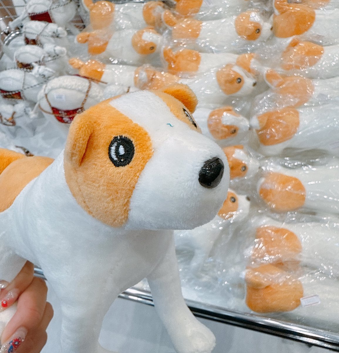 トルクメニスタン、お犬様(アラバイ)のぬいぐるみが出たんだ😆また行か