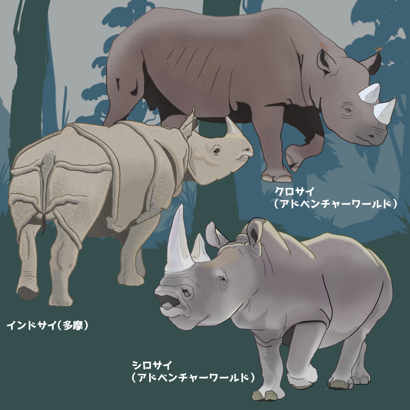 🦏サイの思い出

ずんぐりデカくて 動く姿どれも絵になるサイが好き。

日本で見られる3種すべて実装しました。

#一橋動物記 #ゲーム制作 #indiegame