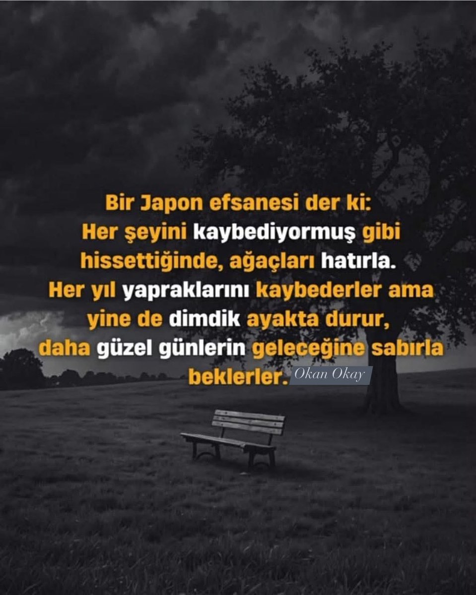 Metin Lütfi BAYDAR (@mlbaydar) on Twitter photo 