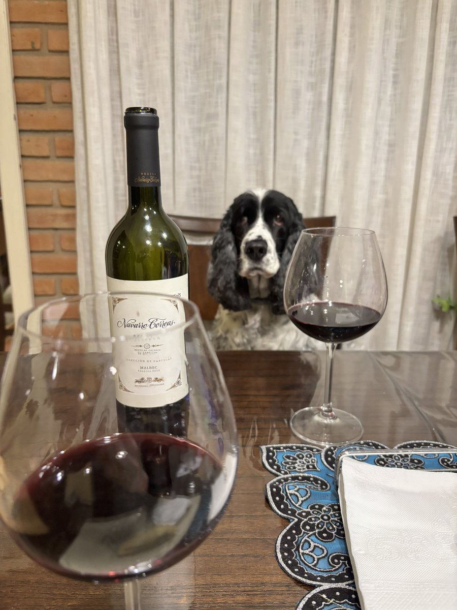 lodeale2's tweet image. Mi cita de hoy 🍷🐶💖