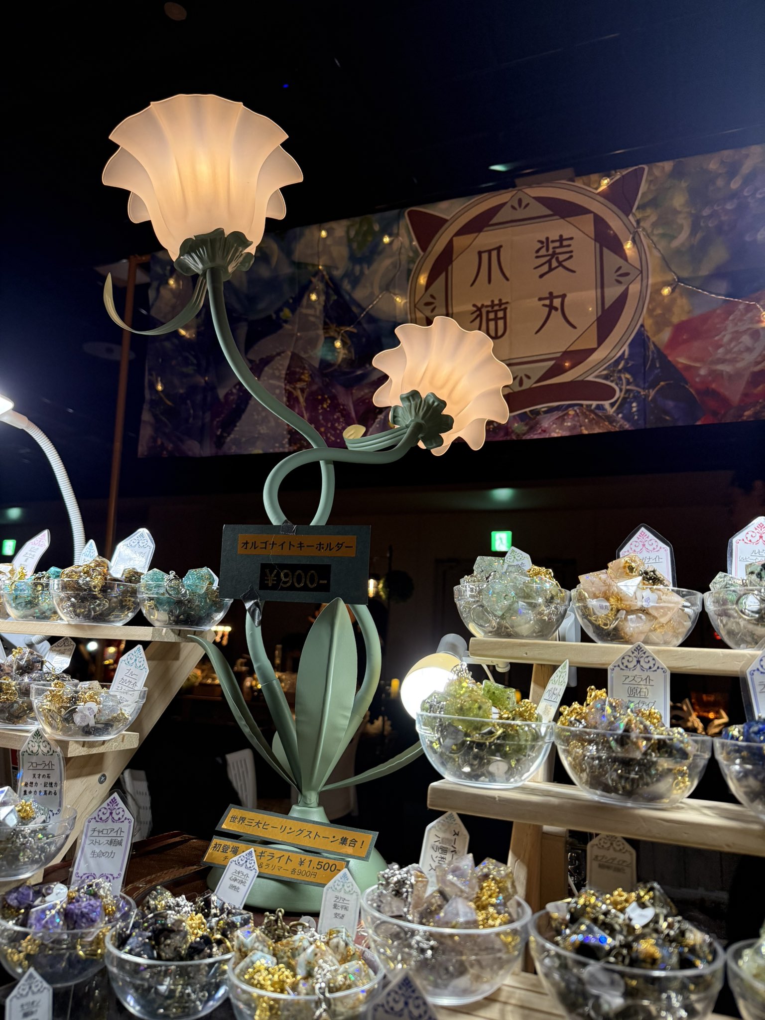 くろねこ (@DandelionM5) / X