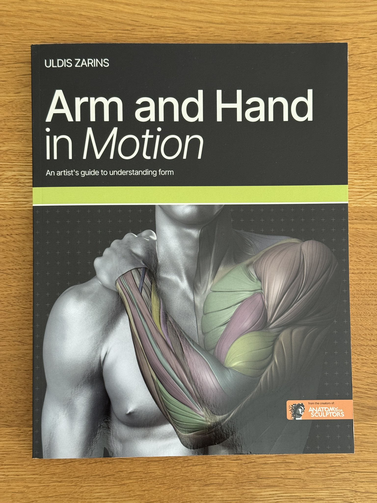 伊豆の美術解剖学者 on X: 