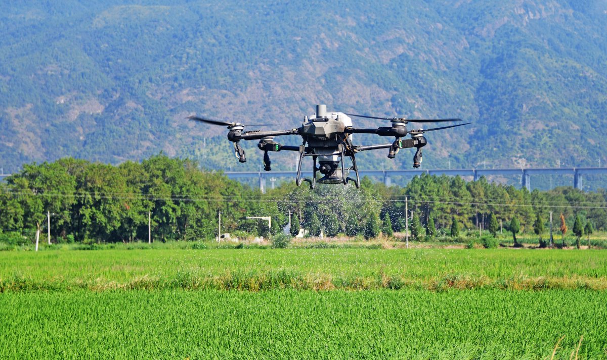 izhejiang's tweet photo. ☀️🍂 Today marks #EndofHeat, the 14th #solarterm. It signals the retreat of summer heat and the approach of cooler autumn days — a time for harvest, reflection and change. 📸/IC https://t.co/6T7tIsEKPg
