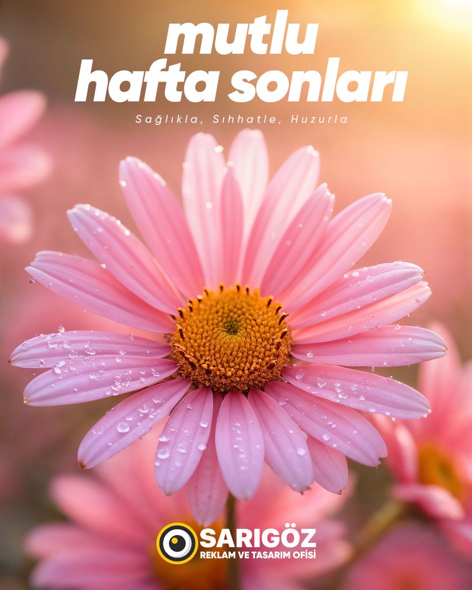 🌿✨ Mutlu Hafta Sonları! ✨🌿
Sevdiklerinizle sağlık, huzur ve keyif dolu bir hafta sonu geçirmenizi dileriz. 💛
📞 İletişim: 0530 450 16 01

💡 Sarıgöz Tasarım olarak, kaliteli ve güvenilir hizmet anlayışımızla her zaman yanınızdayız.
#MutluHaftaSonları