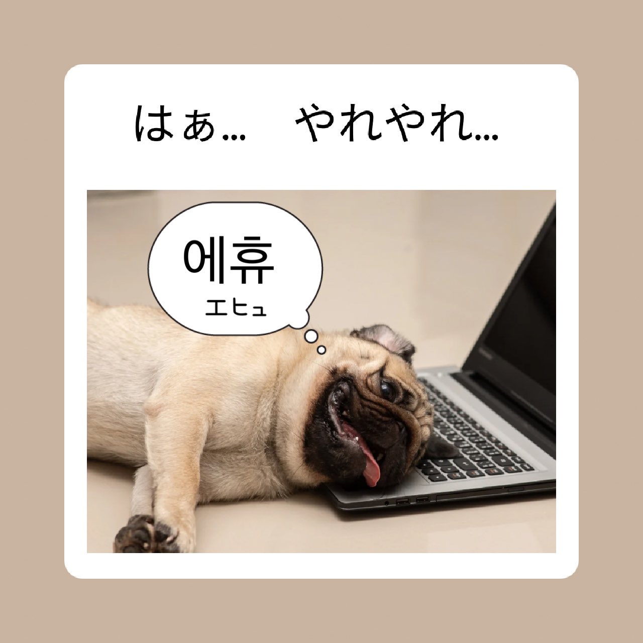 こー【プロフ確認お願いします】 自分で確認してください - Search / X