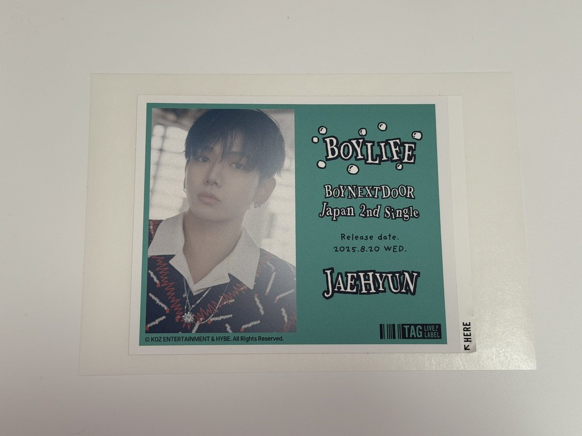 n. 固ツイ必読 tweet media