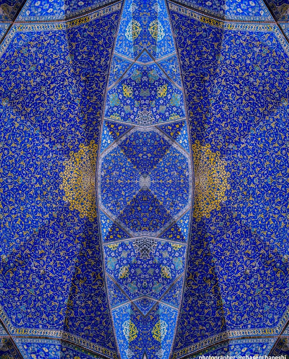 Blue, the Persian Blue 💙

📷 Ghasem Baneshi