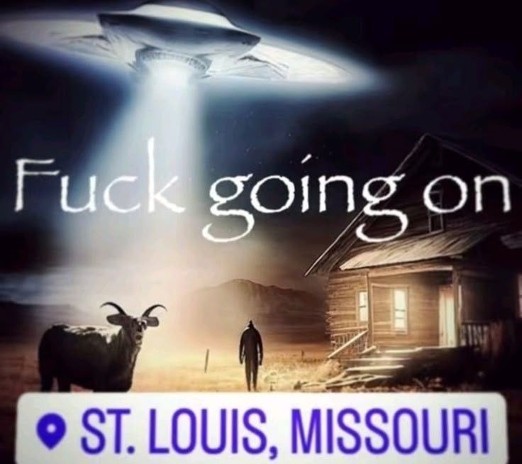 🕐HOURLY🕑 shitpost (@hourly_shitpost) on Twitter photo 