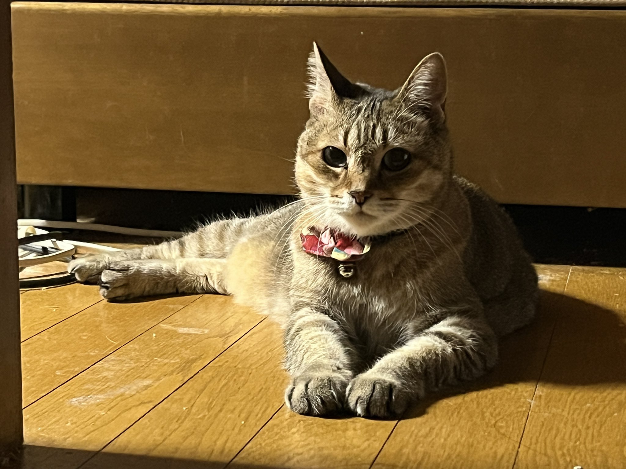 K-CAT (猫好き工房 )様　おまとめ　No690D  696D  699D 猫ハウス&キャットタワー 四角BOXセット ｜ 猫のための木工所