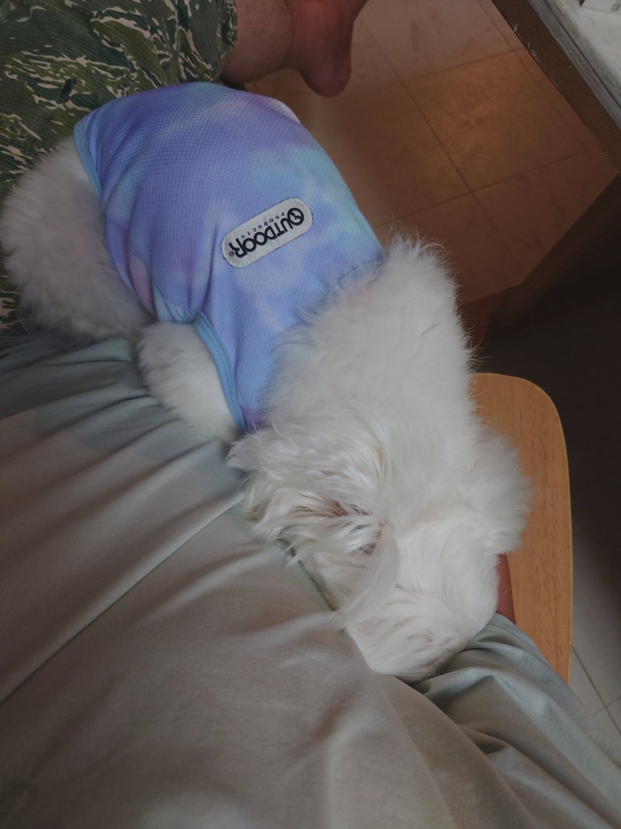 綾瀬市の花火大会。
音だけでビビる愚息に付き合う。
まぁ犬は花火の音は無理だから仕方ないね🥰