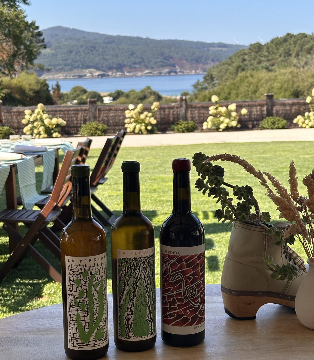 Puede que los incendios de Larouco se hayan llevado algunas viñas, pero no una forma de entender el oficio única. Seguiremos apostando fuerte por los vinos de Nacho ❤️💪🏼