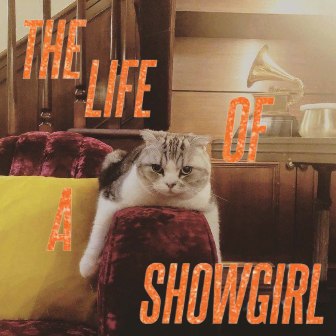 veronica⸆⸉ | fan acc. (@thisisvertrying) on Twitter photo 