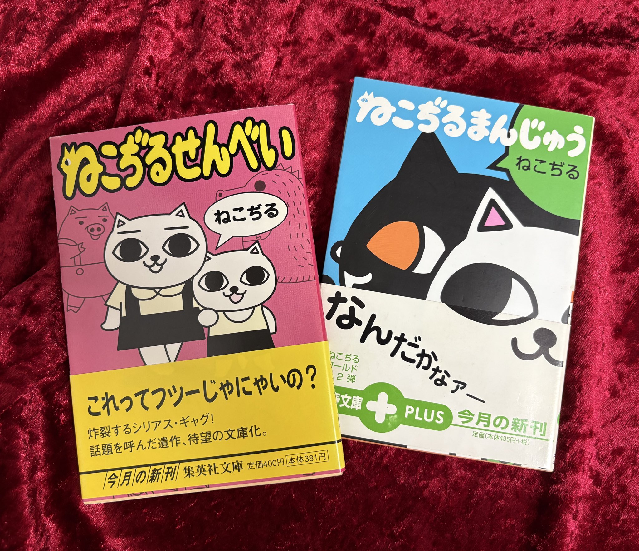 大変古いインドの細密画です。何かの物語の一部でしょうか　美しいものです あなたが大好きよ : あなたにほめられたくて
