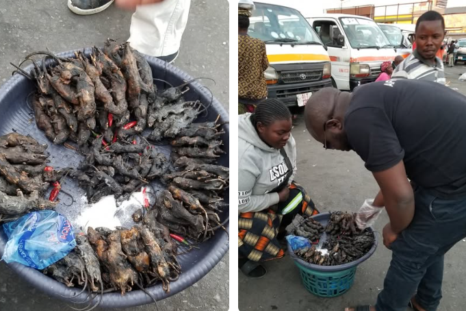 African Hub tweet media