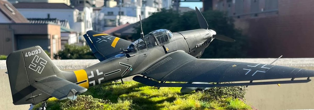 #全日本後ろも良いぞ協会
