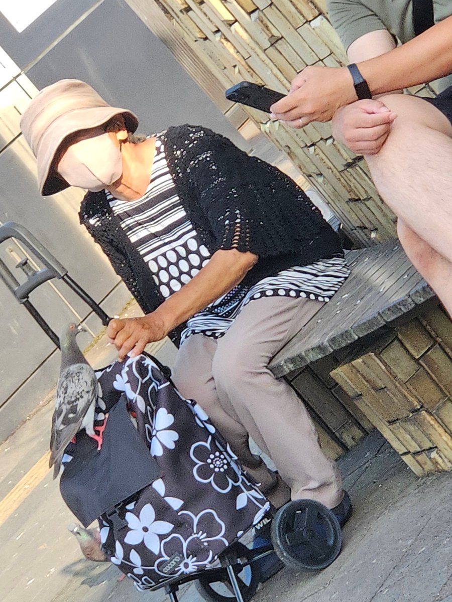 a_limitedtime's tweet photo. 習志野市に条例できてからモリシアに出現しなくなった鳩ババア、今度は津田沼駅の北口でエサ���りしてんの…？
しかも隣に座ってきた人に片っ端から詰め寄って話し掛けてたし…また「スマホの電波は鳩に害だ」とか言ってるんだろうな🙄

駅北は船橋市が管轄だったりする？
#習志野市 #船橋市 #津田沼駅 https://t.co/8a639Ha8nU