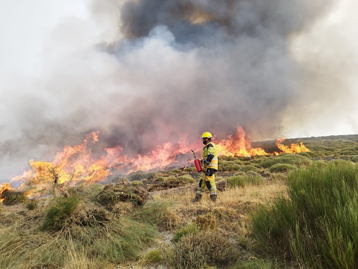 Servei Bomber(e)s Forestals GVA (@gvabforestals) on Twitter photo Los #BomberosForestales de la <a href="/generalitat/">Generalitat</a> seguimos trabajando en los incendios activos en Castilla y León.
En las imágenes, efectivos del servicio realizando labores de equipo de quema y seguridad con apoyo de línea realizada por Bulldozer. Los #BomberosForestales de la <a href="/generalitat/">Generalitat</a> seguimos trabajando en los incendios activos en Castilla y León.
En las imágenes, efectivos del servicio realizando labores de equipo de quema y seguridad con apoyo de línea realizada por Bulldozer.