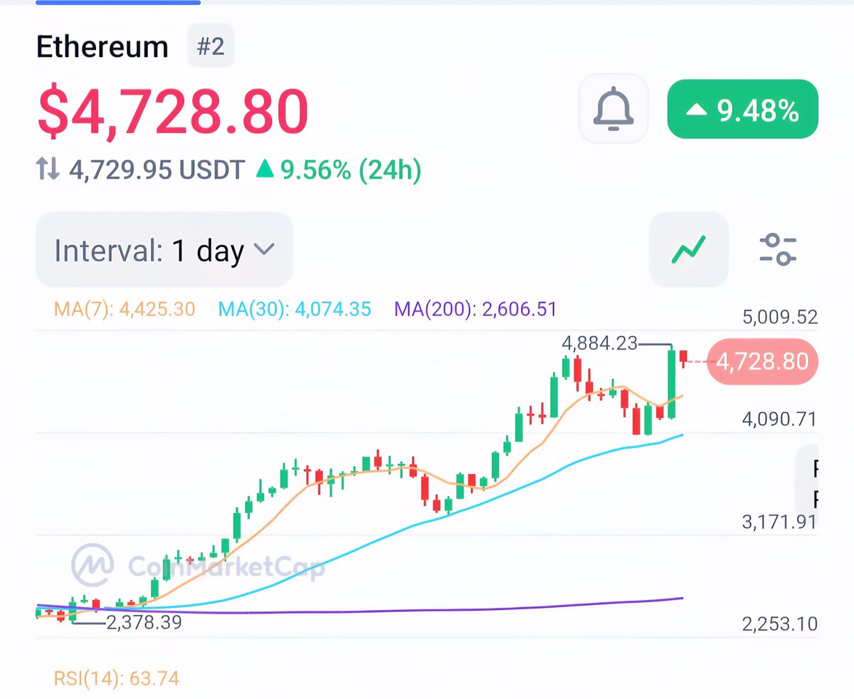 Crypto Rhino 🔥🔥 tweet media
