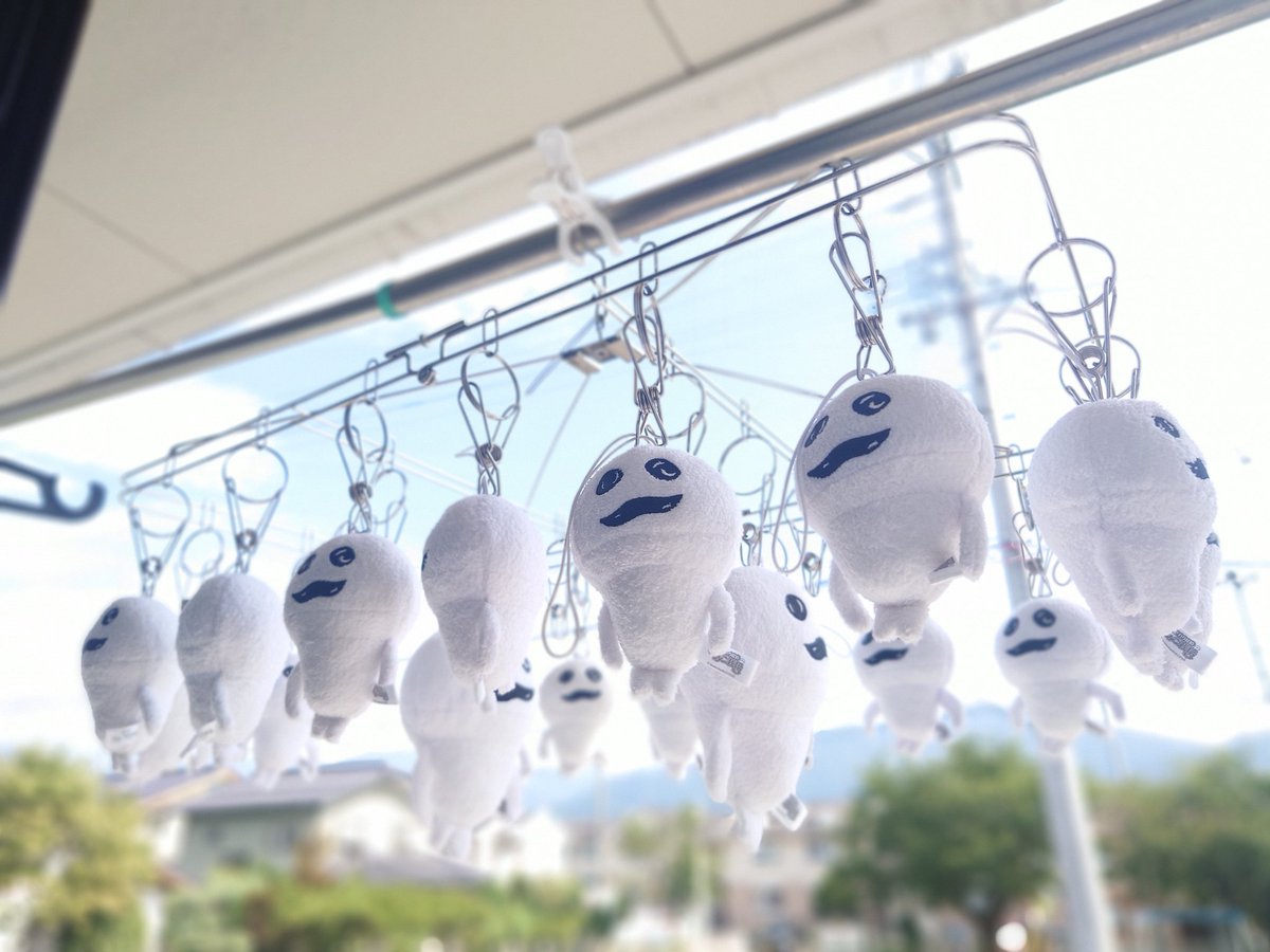 kaenyan's tweet image. そういえば、部屋干しもしてキレイになりましたので✨️(*・ω・)
#マサル #なめこ #なめこ栽培キット