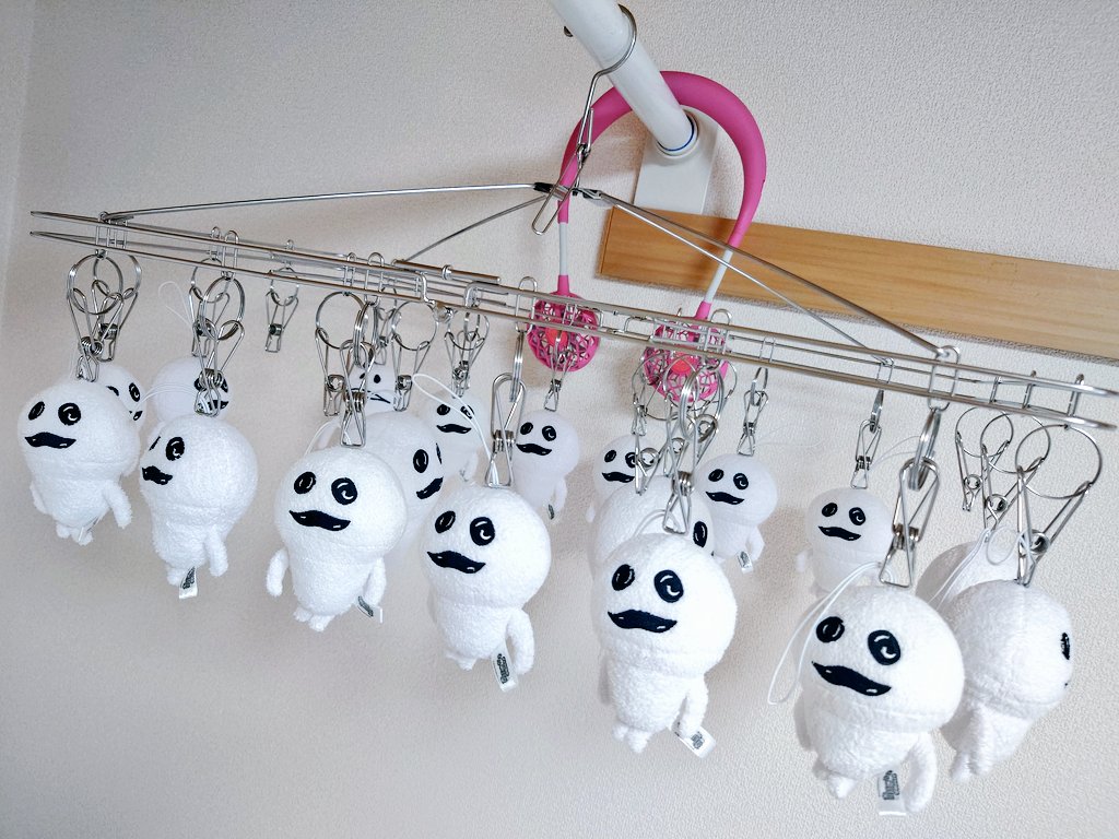 kaenyan's tweet image. そういえば、部屋干しもしてキレイになりましたので✨️(*・ω・)
#マサル #なめこ #なめこ栽培キット