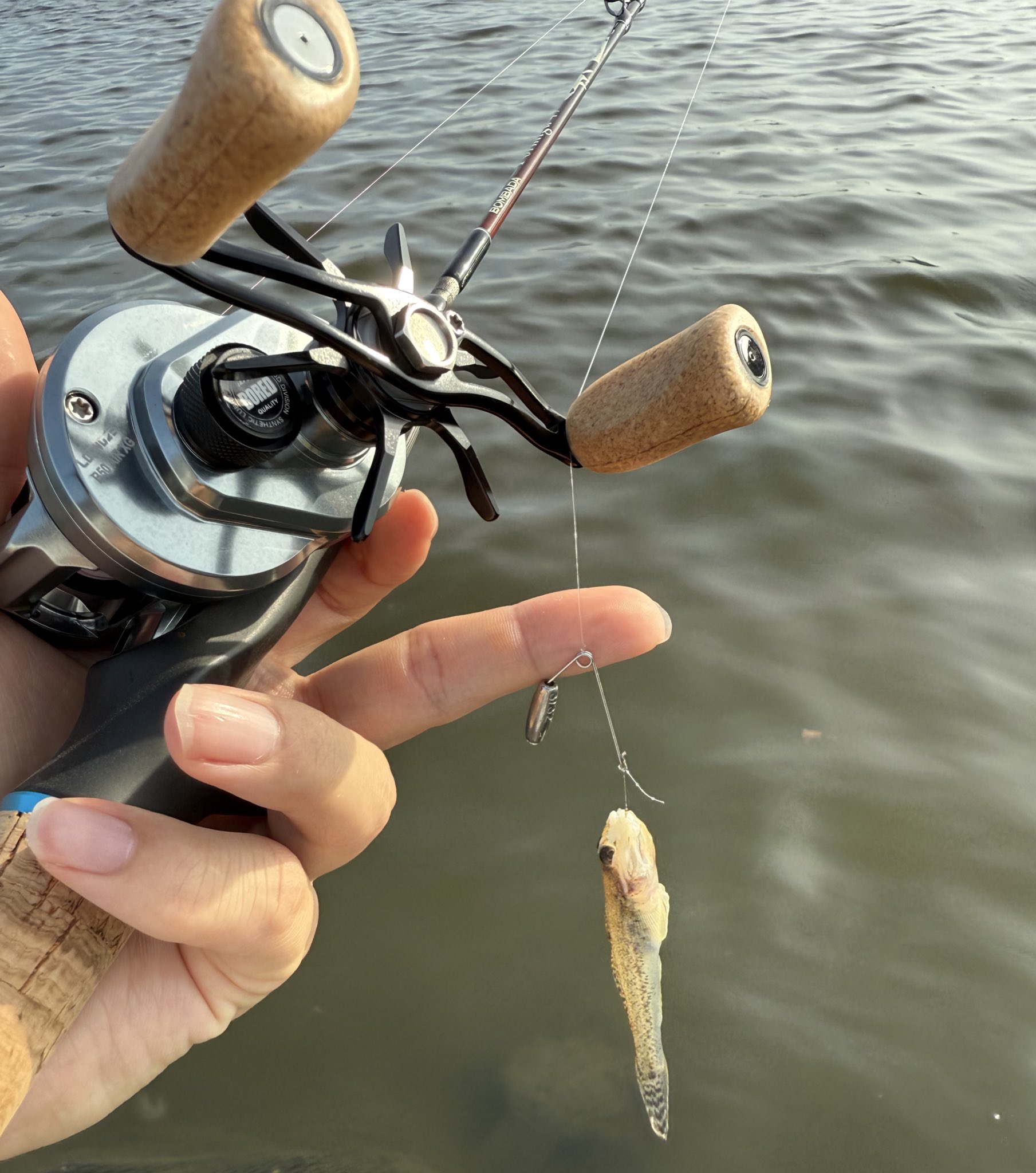 勇愛の天秤 プロモ ホイル 4枚 勇愛の天秤 4枚 デュエマ プロモ おまけ付き 勇愛の天秤 プロモ