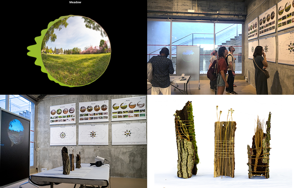 COEVOLVERS Project tweet media