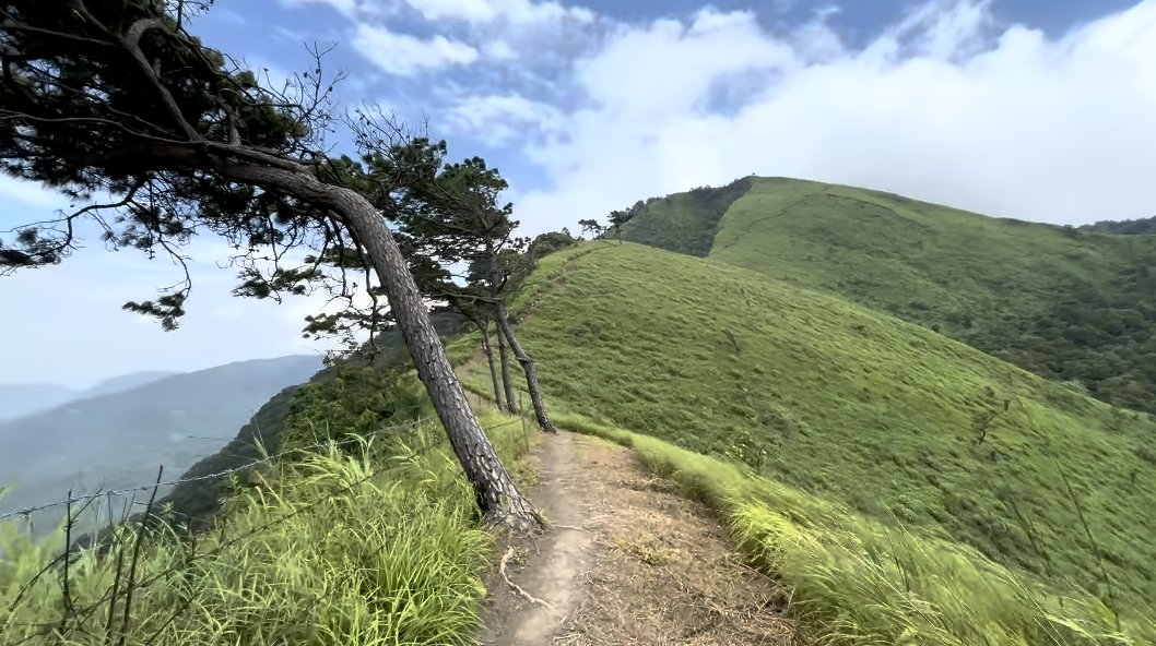 This is where I’m tweeting from right now. 

Rate my view 🏞️