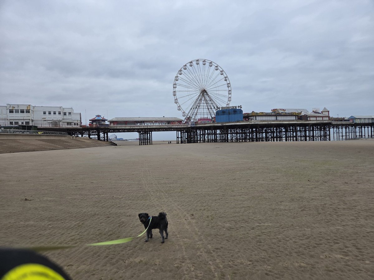 7hr journey down to Blackpool and my son decides might as well do another 7 and head to Plymouth. I'm spending time with family and this boy