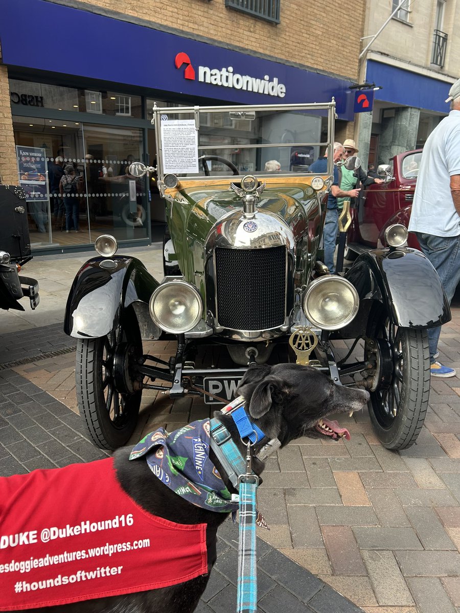 I’m having a roarsome day out in Gloucester. Just waiting for dad to move the car &amp; find us at the cathedral. The city is busy with lots of old cars &amp; people in fancy dress. Later today we will hit Cheltenham #Gloucester <a href="/lions_at_large/">Lions at Large Trail</a>