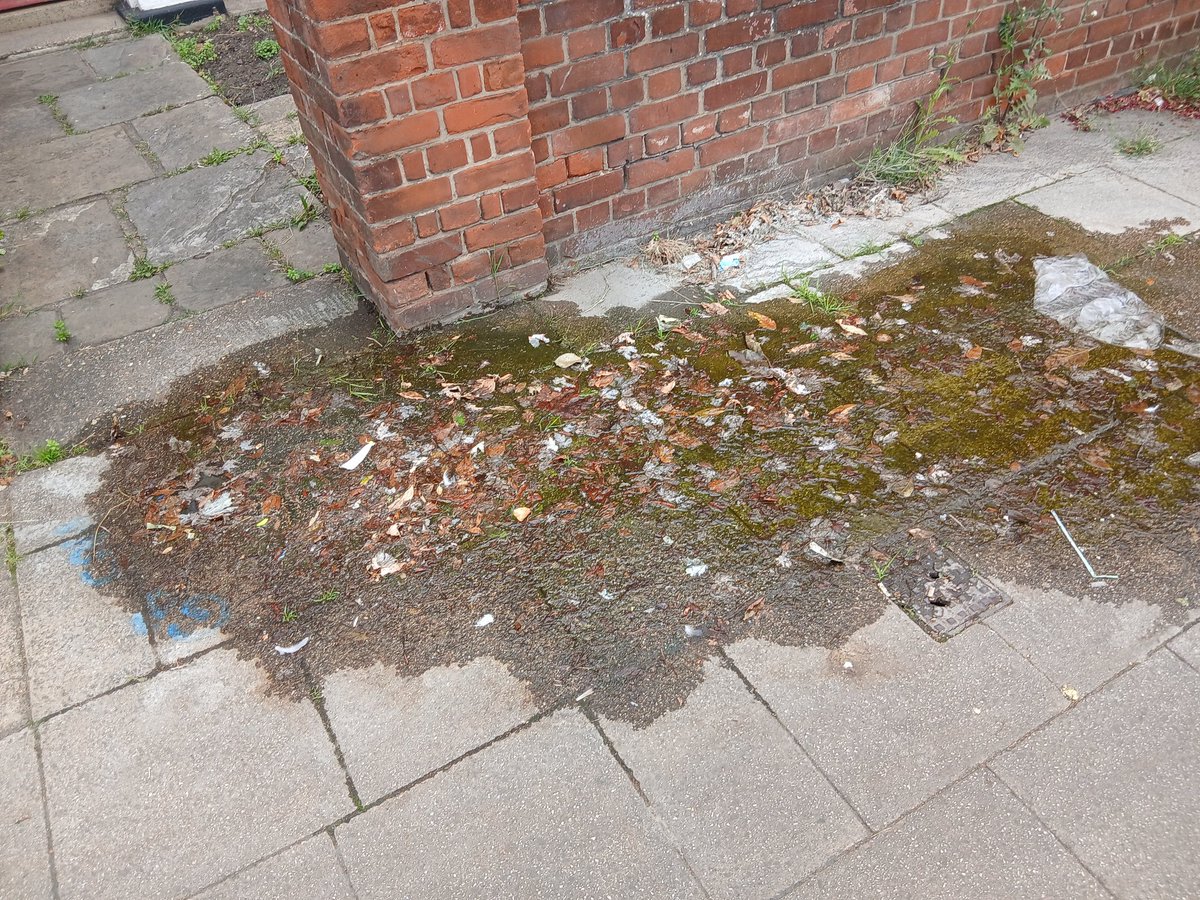 John Cook tweet media