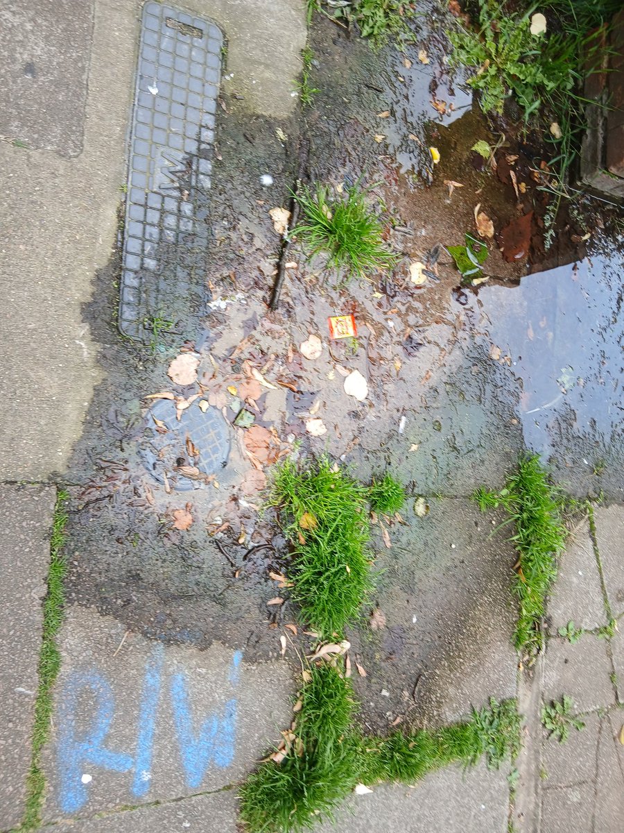 John Cook tweet media