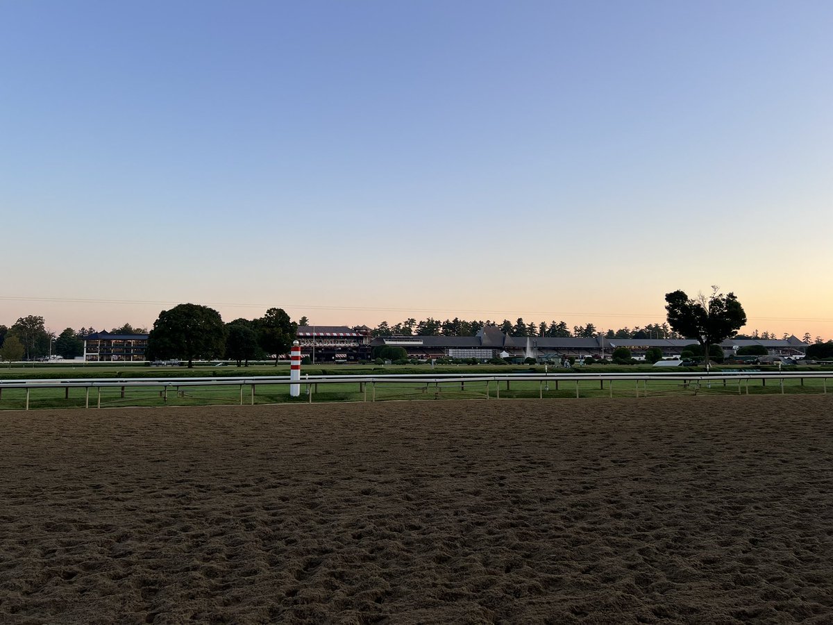 t_murph51's tweet image. Happy Travers Day!