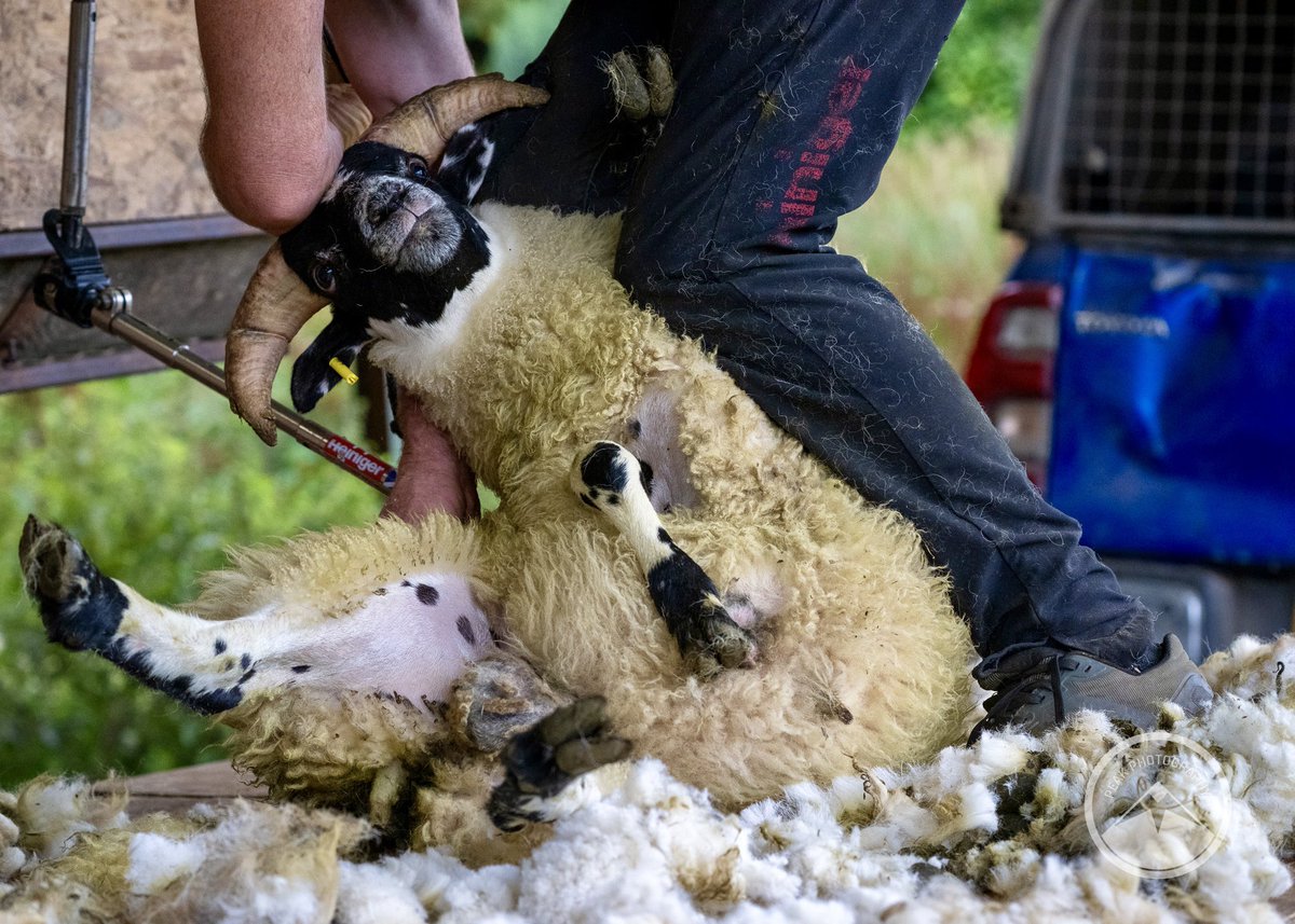 M J Peakman Photography tweet media