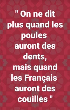 <a href="/Lauzerbib/">Lz 06 🇫🇷🇮🇱🎗️</a>