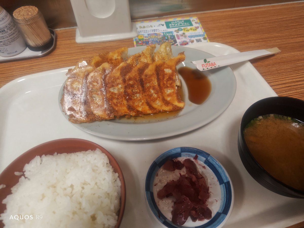 長野からの帰り道、宇都宮餃子を食べる