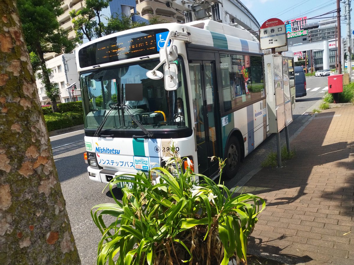 ぱにょ助 nj886-7.jpg
