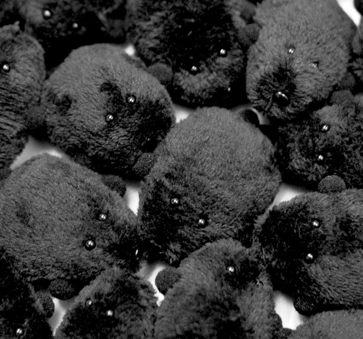 本日もありがとうございました！