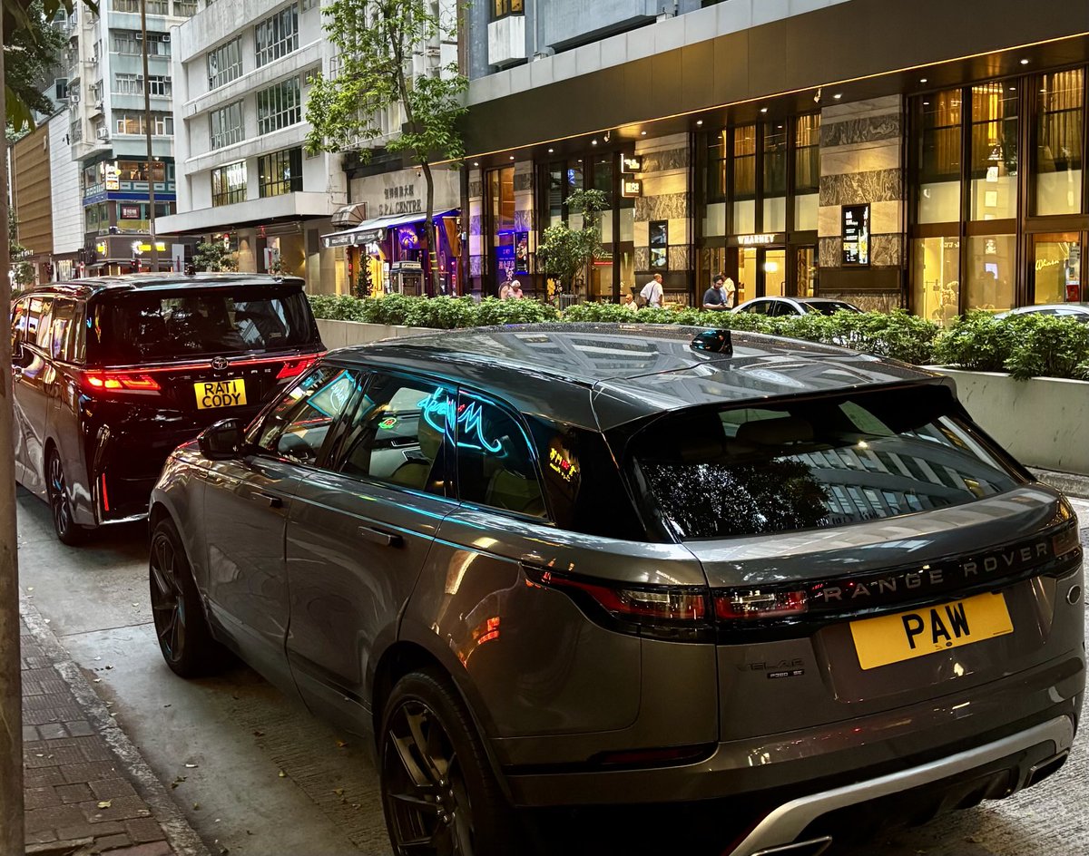 gavafox's tweet image. Paw chasing Rati... twofer... ⁦@HKnumberplates⁩