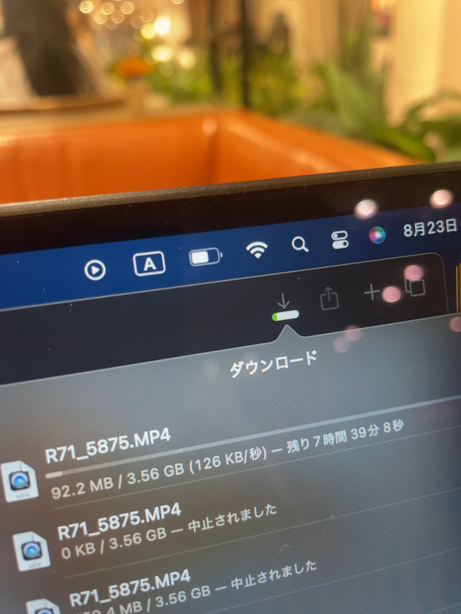 いいねした方は必ずコメントお願いいたします カンス先輩 on X: 